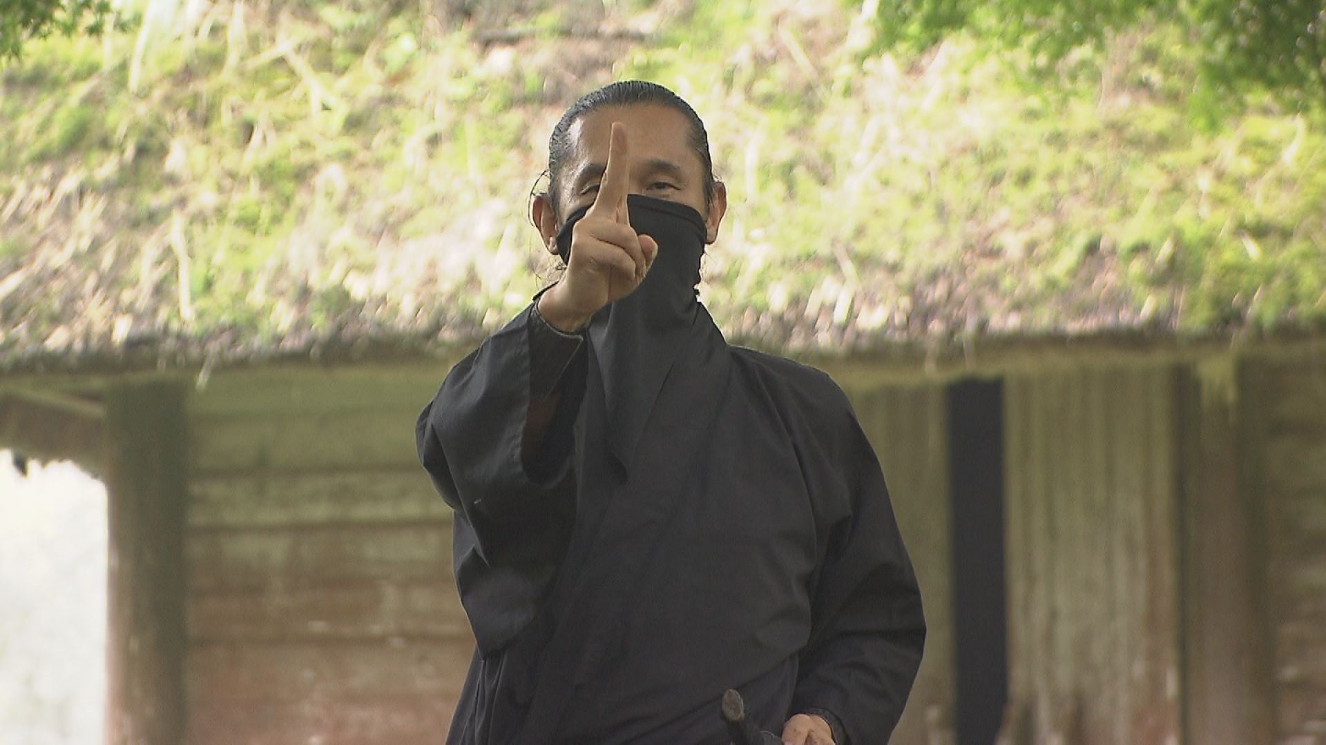 192392_ext_3_0.jpg?width=800