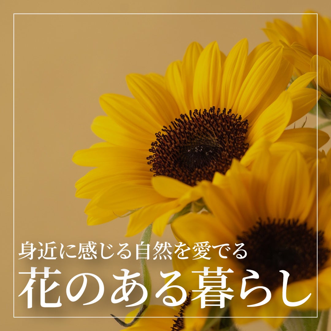 藤原樹　BD サングラスバージョン JR小倉駅が「コクラBEAT」一色に！期間限定で北九州市観光大使