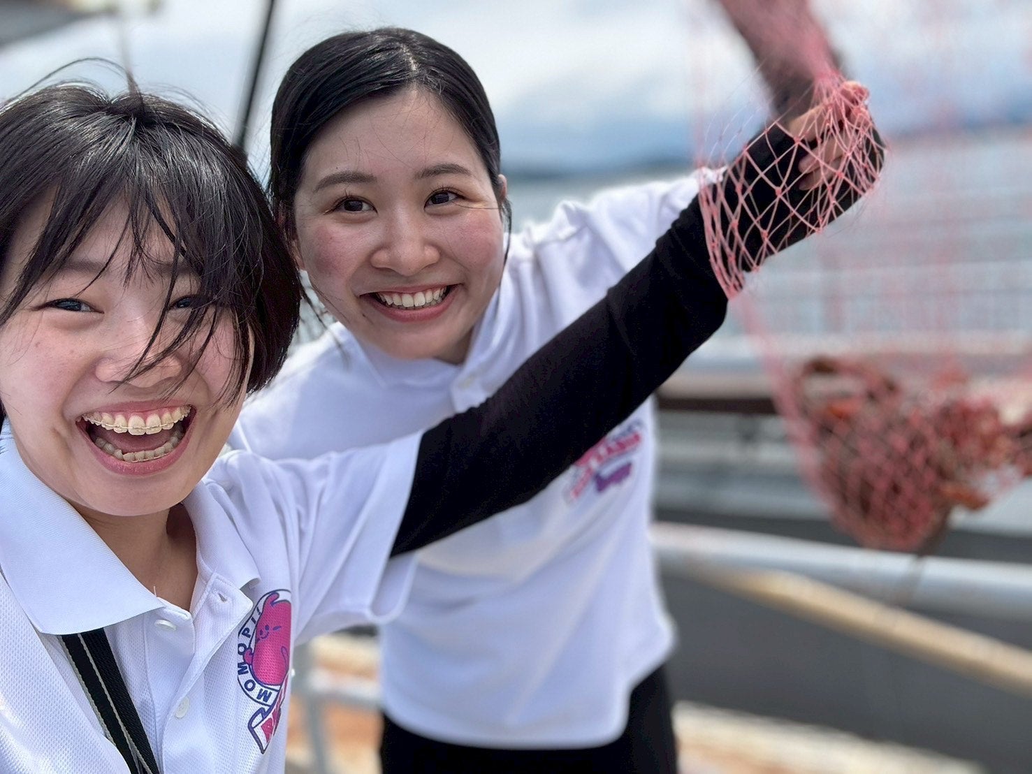 謎の財津和夫　生い立ち　フォーク　ビートルズ　短篇集　レコーディング裏話　帯付き 謎の財津和夫 生い立ち フォーク ビートルズ 短篇集
