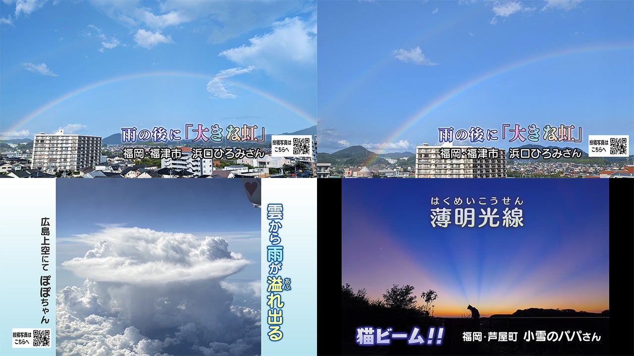 投稿ピクチャーズ：2025年8月19日（火）～8月22日（金） - RKB毎日放送
