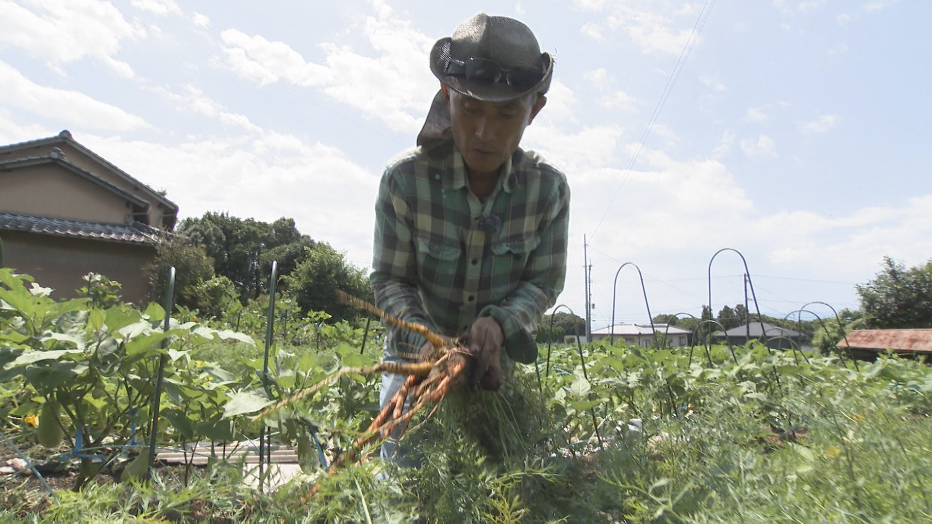マイクログリーンで農業革命』 - RKB毎日放送