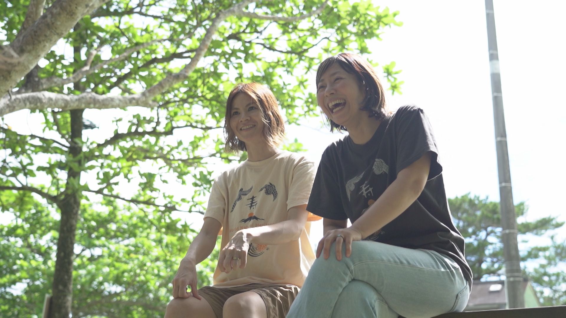 197267_ext_3_0.jpg?width=400