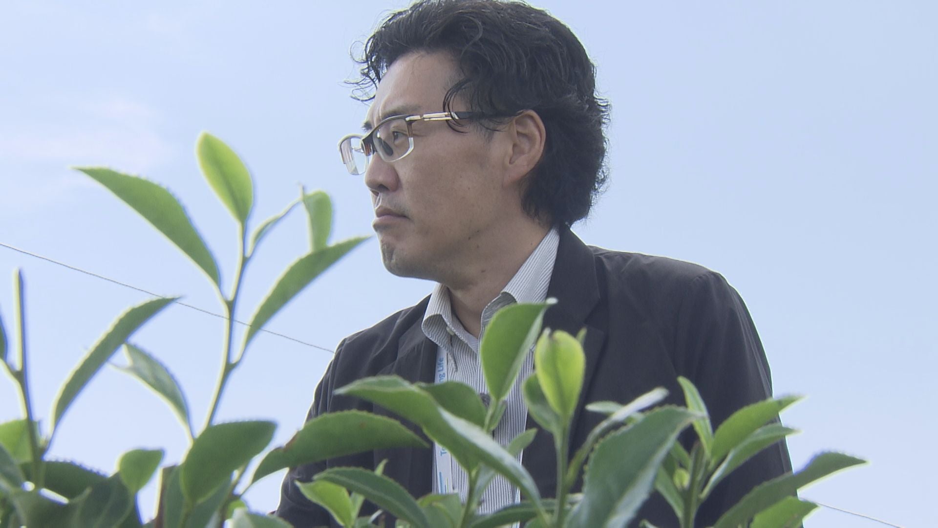 彼杵」から「SONOGI」へ！』 - RKB毎日放送