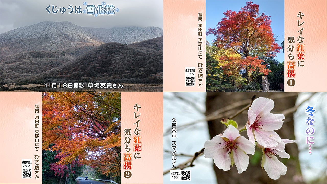 投稿ピクチャーズ：2025年11月18日（火）～11月20日（木） - RKB毎日放送