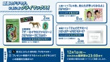 【プレゼント企画】日曜劇場「ザ・ロイヤルファミリー」ステッカー3種セット/ 火曜ドラマ「じゃあ、あんたが作ってみろよ」ステッカー/ 金曜ドラマ「 フェイクマミー」スライダークリアポーチ