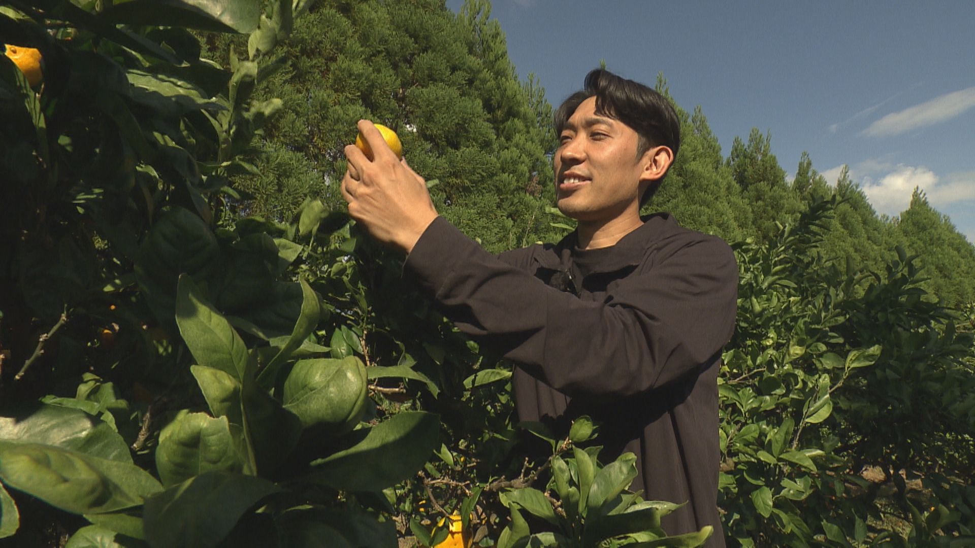The MIKAN ROAD』 - RKB毎日放送