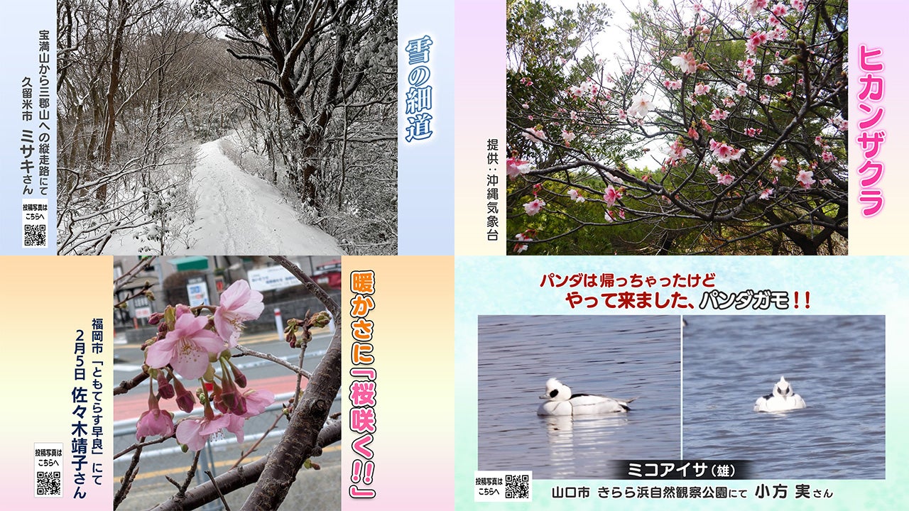 投稿ピクチャーズ：2026年1月28日（水）～2月6日（金） - RKB毎日放送