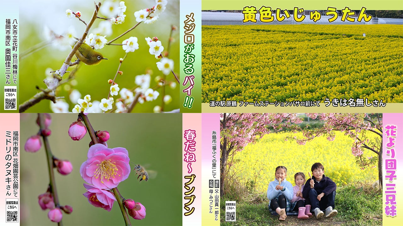 花鳥風月 投稿ピクチャーズ | RKB毎日放送