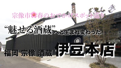 伊豆本店　日本酒　宗像市　