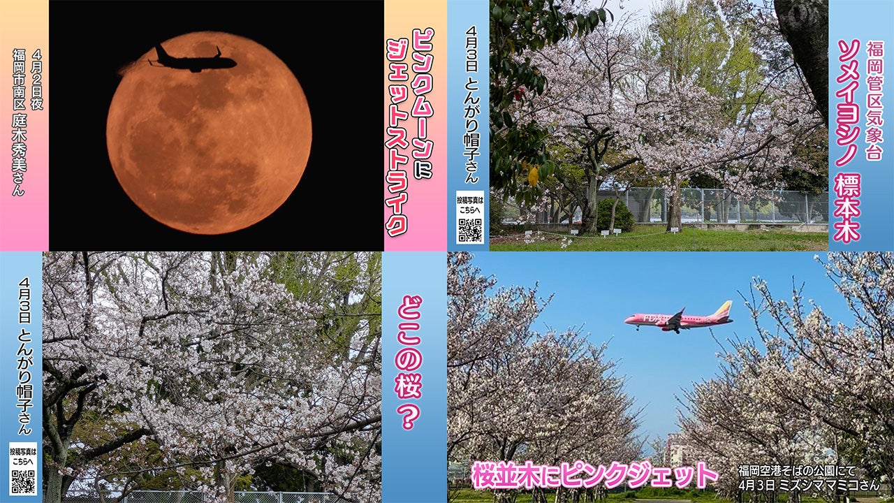 投稿ピクチャーズ：2026年4月3日（金） - RKB毎日放送