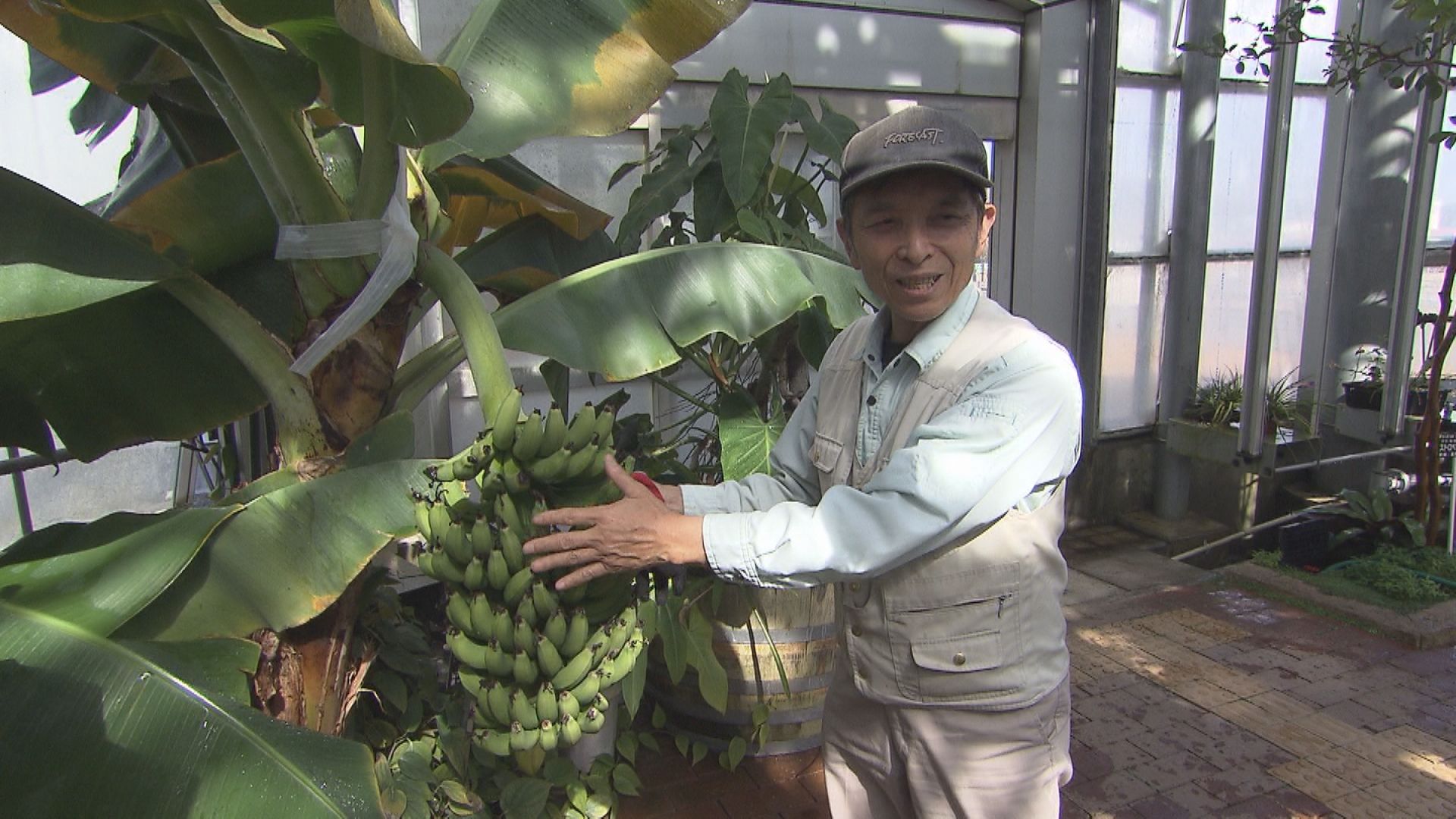 ようこそ癒やしの植物園へ - RKB毎日放送
