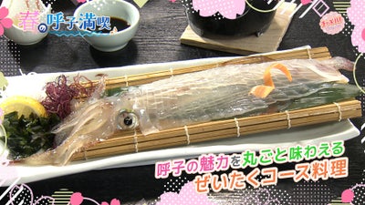 #呼子　#イカの活造り　#加部島　#チャギハ　#ＲＫＢ