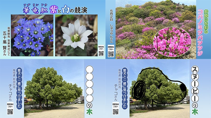 投稿ピクチャーズ：2026年4月30日（木）～5月7日（木） - RKB毎日放送