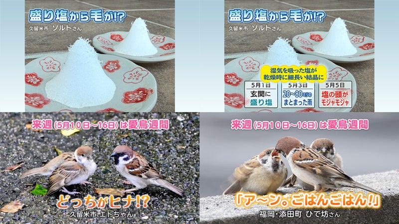 投稿ピクチャーズ：2026年5月7日（木）～5月8日（金） - RKB毎日放送