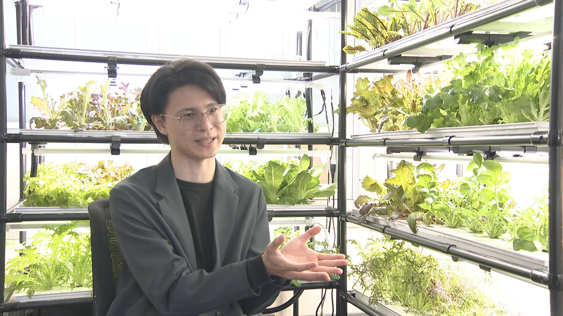 街なかに畑を！～小さな水耕栽培が創る未来～ - RKB毎日放送