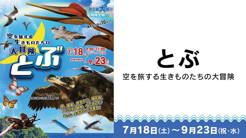 https://api-img.rkb.jp/v=1782891071/files/topics/203456_ext_1_0.jpg