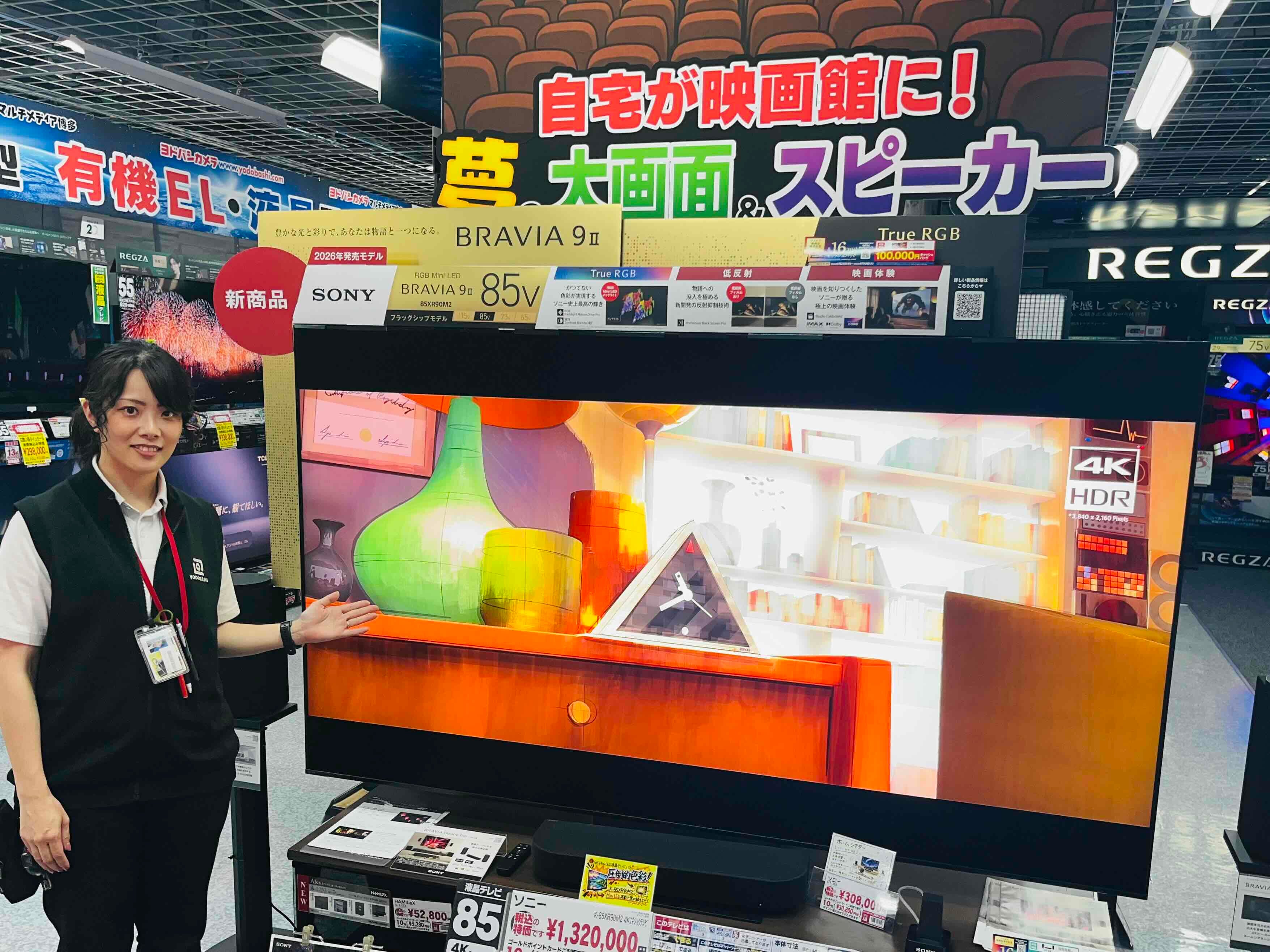 おうちがスタジアムに！映画館に！！超大型4K液晶テレビ【SONY BRAVIA