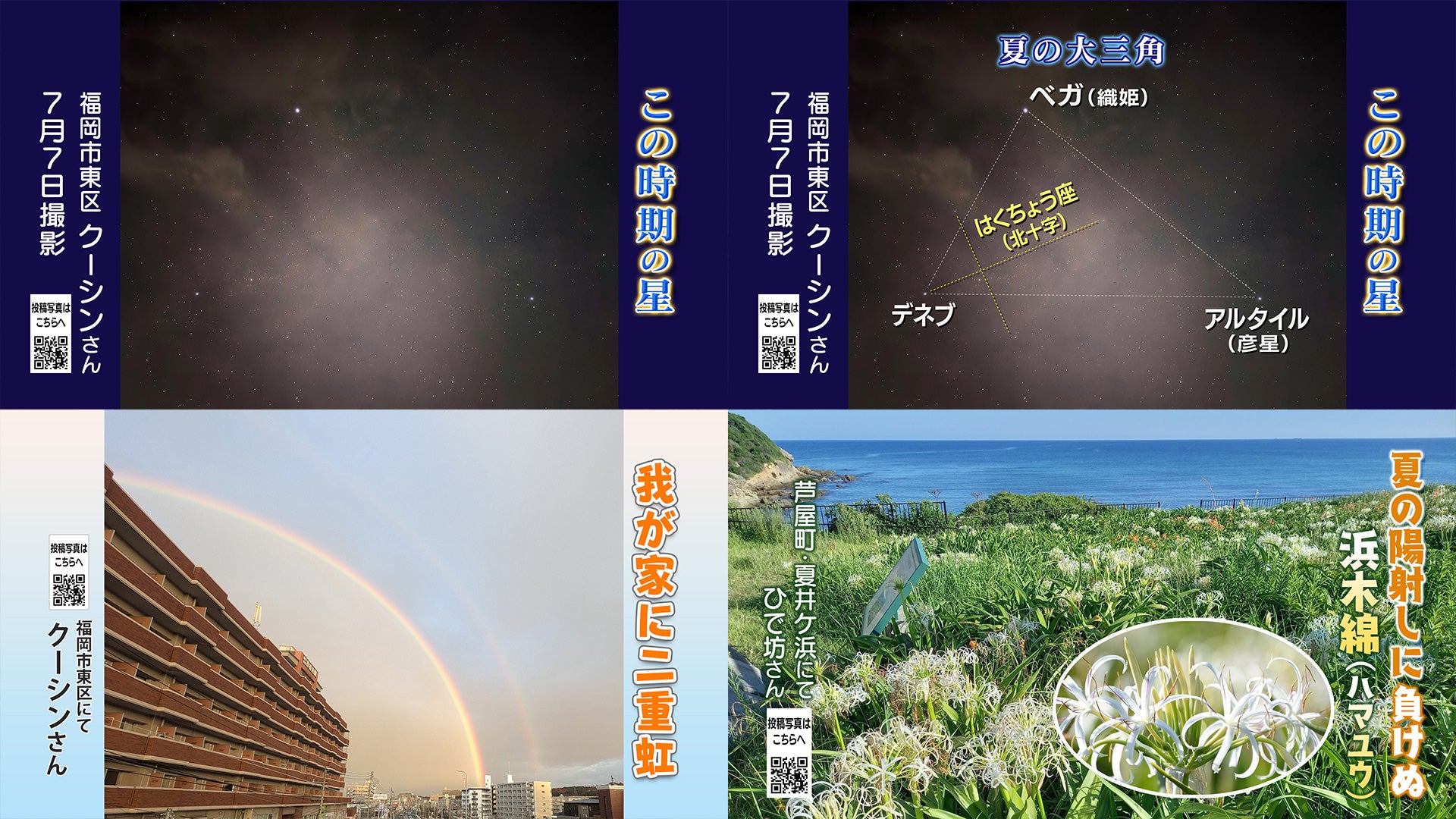 投稿ピクチャーズ：2026年7月9日（木）～7月24日（金） - RKB毎日放送